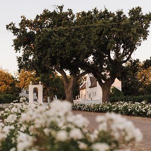 Adara Palmiet Valley Luxurious Boutique Farm Hotel Paarl Exterior photo