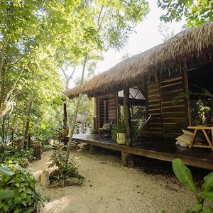 Madre Tierra Eco Habitat Hostal Puerto Morelos Exterior photo