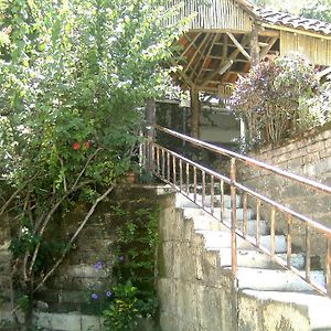 Hostel Tadeo San Juan Del Sur Exterior photo