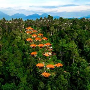 Nandini Jungle Resort&Spa Bali Ubud Exterior photo