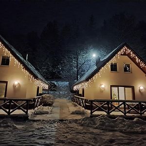 Villa Domki Pod Jesionami Stronie Śląskie Exterior photo