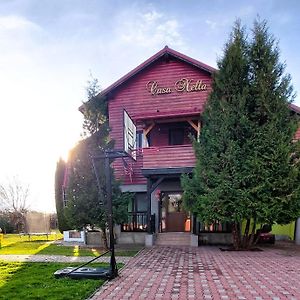 Casa Nella Villa Braşov Exterior photo