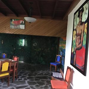 Chosa Manglar Nature Suites Puerto Jimenez Exterior photo