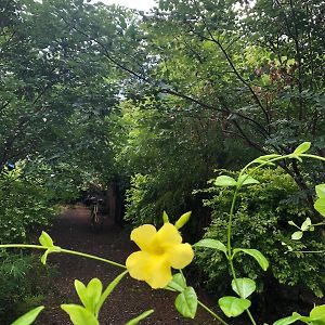Evergreen Villa Nature Resort Anuradhapura Exterior photo