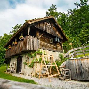 Vineyard Cottage Skatlar Otocec Exterior photo