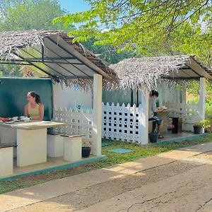 New Peacock Resort Dambulla Exterior photo