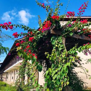 Hotel Fazenda Triunfo Areia Exterior photo