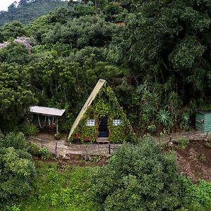 Earth Lodge Antigua Exterior photo