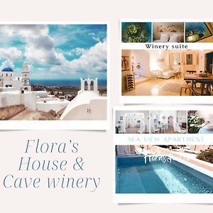 Villa Flora'S House & Cave Winery Pýrgos Exterior photo