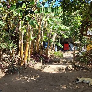 Camping Permacultural Filhos Da Floresta Vale do Capão Exterior photo