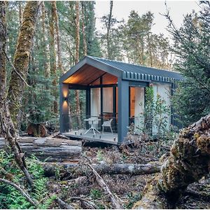 Discovery Parks - Cradle Mountain Villa Exterior photo