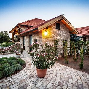 Beni Family Wine Farm Villa Cegled Exterior photo