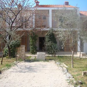 Villa Lipa Zadar Exterior photo