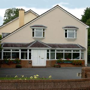 Ardree House B&B Cill Airne Exterior photo