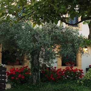 Villa Dimora La Grazia à Castelvetrano Exterior photo