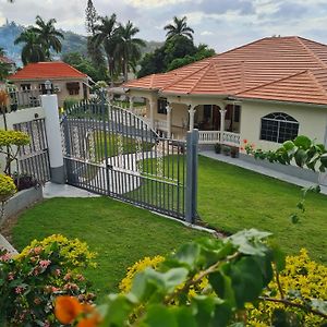 Rose View Apartment Montego Bay Exterior photo