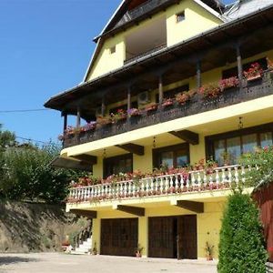 Pension Garofita Hotel Iasi Exterior photo