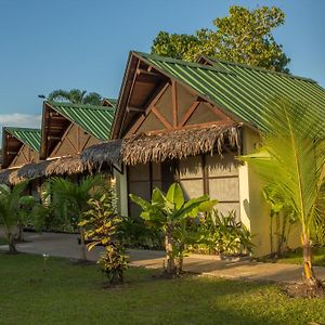 Hotel Amazon Bed And Breakfast Leticia Exterior photo