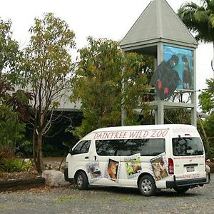 Daintree Wild Bed & Breakfast Exterior photo