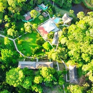 Suchipakari Amazon Eco -Lodge & Jungle Reserve Misahualli Exterior photo