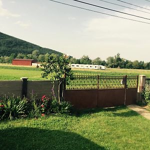 Pensiunea Tarina Guest House Șuncuiuș Exterior photo