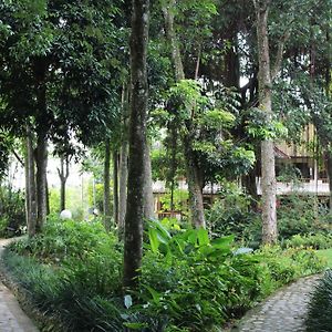 Ecolodge Bukit Lawang Room photo