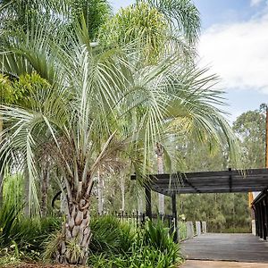 Peppers Creek Accommodation Pokolbin Exterior photo