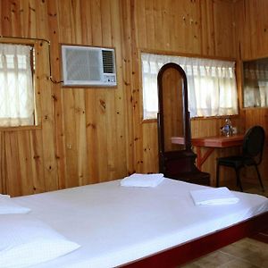 Green Land Guest House Pinnawala  Room photo