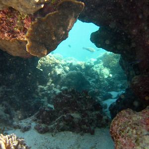 Ningaloo Coral Bay - Bayview Exterior photo