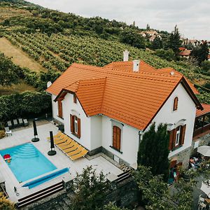 Badacsony Villa Ria Badacsonytomaj Exterior photo