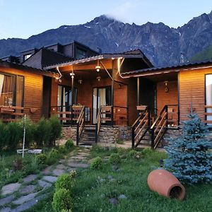 Panorama Cottages Kazbegi Exterior photo