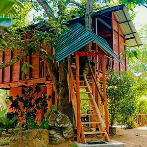 Sigiri Sky Home & Treehouse Sigiriya Exterior photo