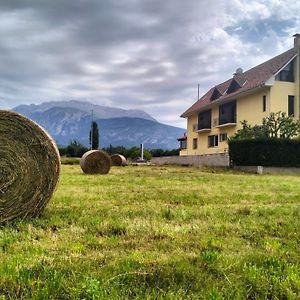 Hostal Turbon Hotel Campo  Exterior photo