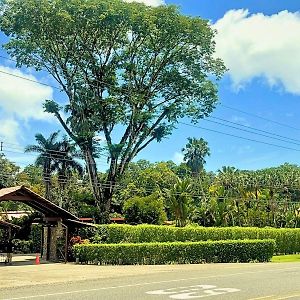 La Foresta Nature Resort Quepos Exterior photo