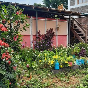 Bananas Guest House Private Room Altagracia Exterior photo