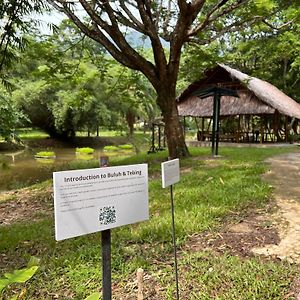 Ambong Rainforest Retreat Villa Pantai Cenang  Exterior photo