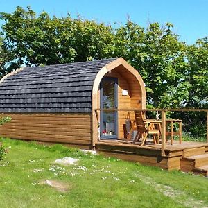 Sea And Mountain View Luxury Glamping Pods Heated Hotel Holyhead Exterior photo