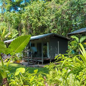 Safari Lodge Cape Tribulation Exterior photo