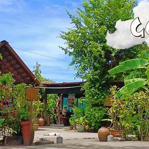 Gecko Guesthouse Pantai Cenang  Exterior photo