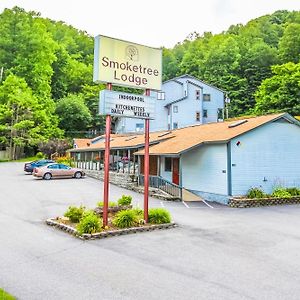 Smoketree Lodge Banner Elk Exterior photo