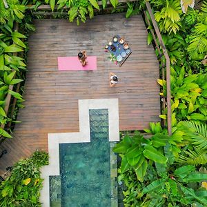 Chachagua Rainforest Hotel & Hot Springs La Fortuna Exterior photo