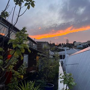 On Top Backpackers Hostel Dunedin Exterior photo