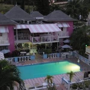 Pink Hibiscus Bed And Breakfast Montego Bay Exterior photo