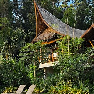 Fox & The Firefly Cottages Loboc Exterior photo