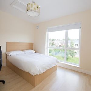 Troy Self Catering Village Limerick Ireland Room photo