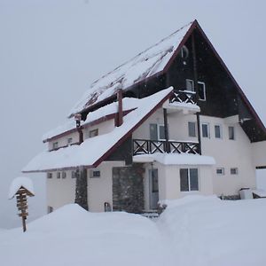 Snow House Ostello Gudauri Exterior photo