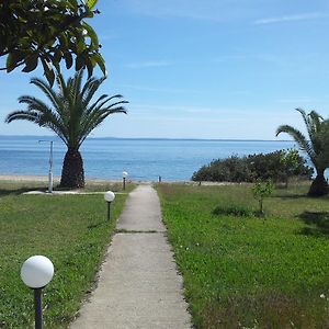 Afroditi Beach Gerakini Exterior photo