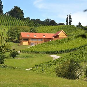 Wine&Tourisam Valdhuber Apartments Svecina Exterior photo