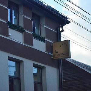 Pensiune Restaurant Flamingo Bed & Breakfast Sighetu Marmatiei Exterior photo