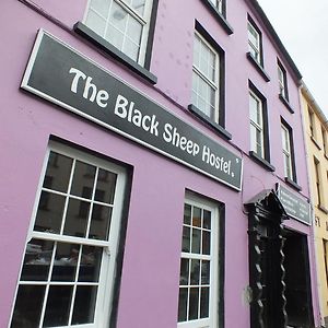 The Black Sheep Hostel Cill Airne Exterior photo